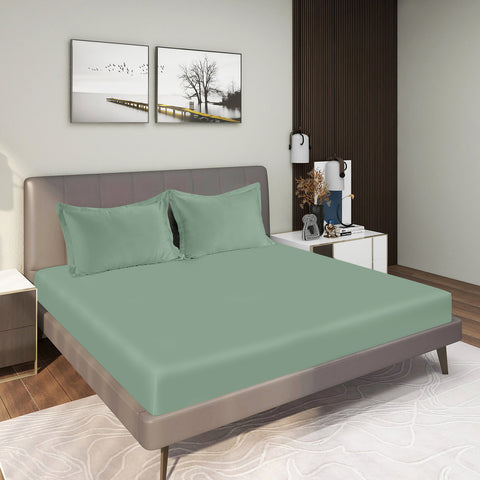  400TC 100% Organic Gres Cotton Iceberg Green Colour Bedsheet With 2 Pillows with 2 Photo Frames in a Decorative Room
