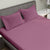 Red Voilet Colour Bedsheet With 2 Pillows 