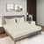 Lane Linen Tan Colour Bedsheet With 2 Pillows on Charcoal Coloured Bed with two photo frames