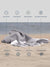 Gray towel on sand with features like quick dry, sand proof, breathable, machine washable, absorbent,compact, versatile, stylish design