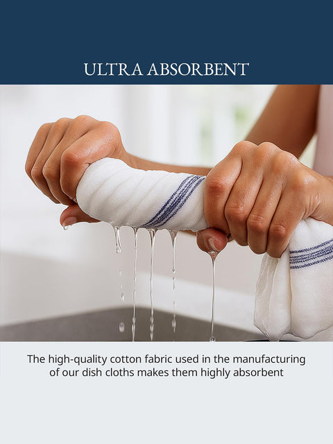 Person holding a white dish cloth with blue stripes, dripping water, against a blurred background, the high quality cotton fabric used in the manufacturing of our dish clothes makes them highly absorbent.