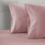 Sephia Rose Colour Pattern 2 Pillows in White Background