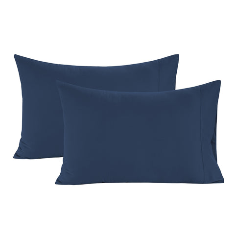 Estate Blue Colour Pattern 2 Pillows in White Background