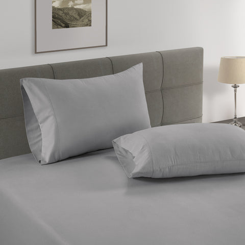 2 Pillows Of Silver color Wth Silver Bed & Photoframe in background