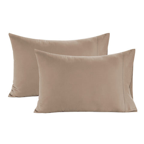 Taupe Colour Pattern 2 Pillows in White Background