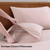 2 Pillows Of Sephia Rose Colour Bedsheet On A Wooden Bed